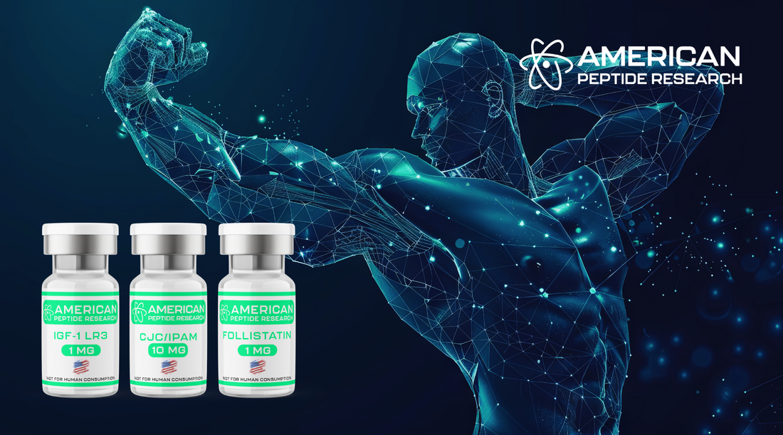 Muscle Growth Peptides Explained: Follistatin, IGF-1, and More